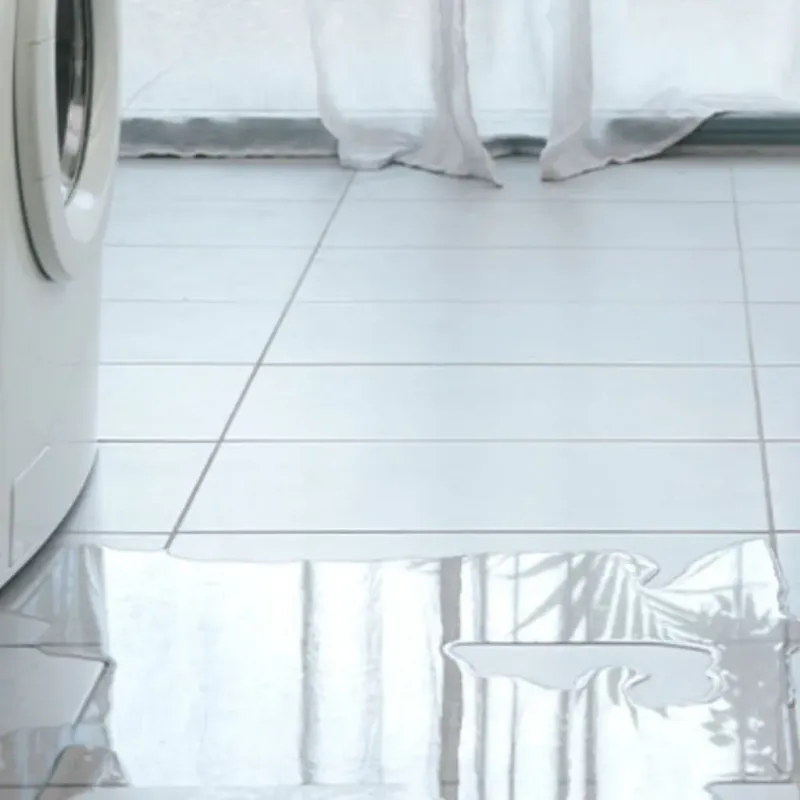 Appliance Leak Cleanup in Christmas, FL