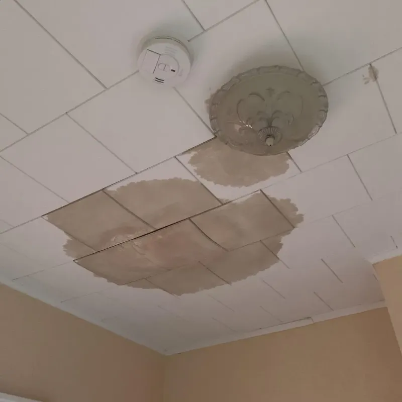Ceiling Water Damage Repair in Christmas, FL